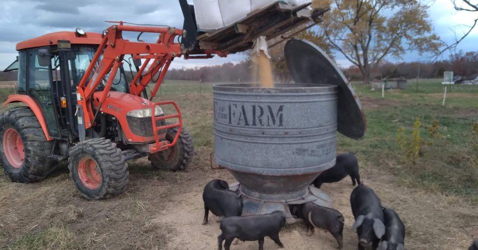 Filling the bulk feeder