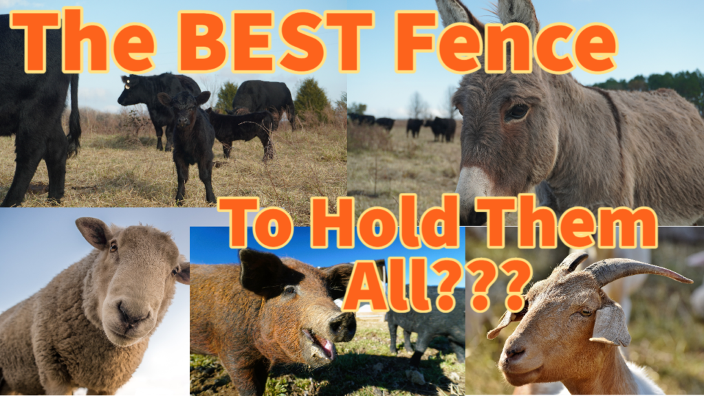 a variety of farm animals that need fenced in a pasture