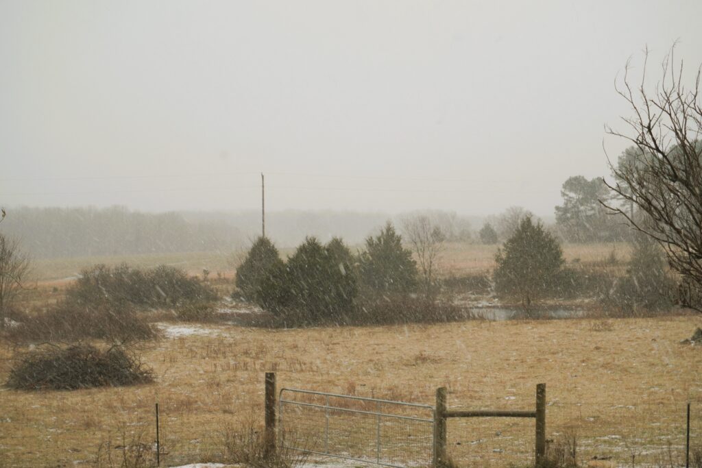 farming in a winter storm with snow falling in a field