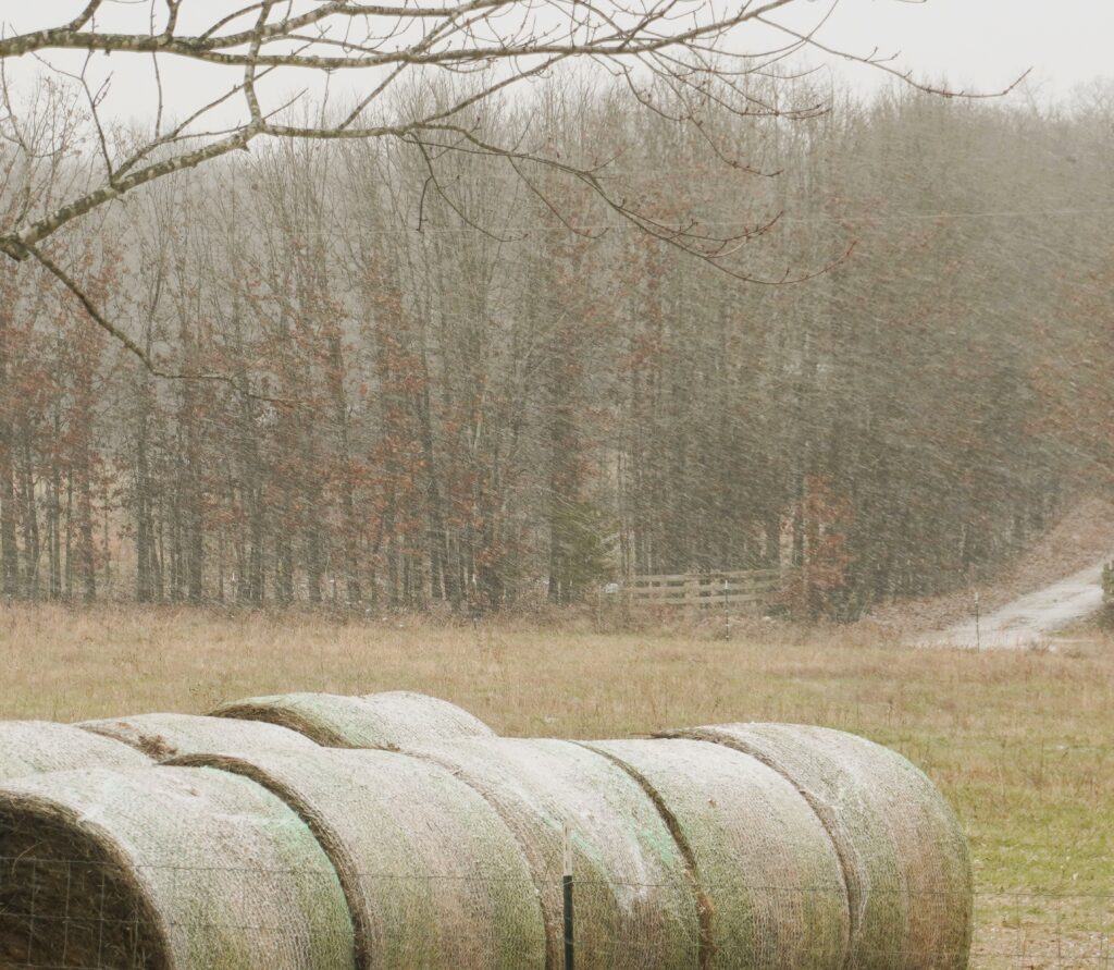 bales of hay in a field during farming in a winter storm