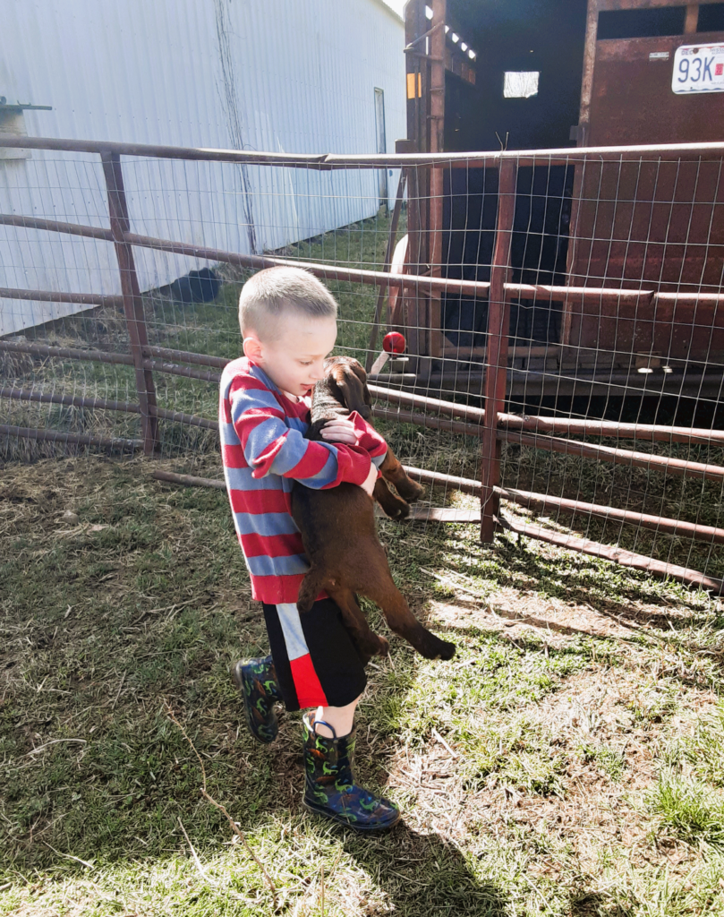 a boy holding a goat kid