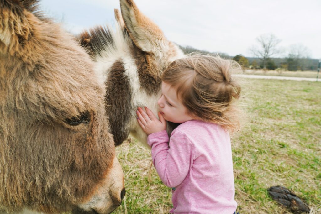 toddler hugs for donkeys