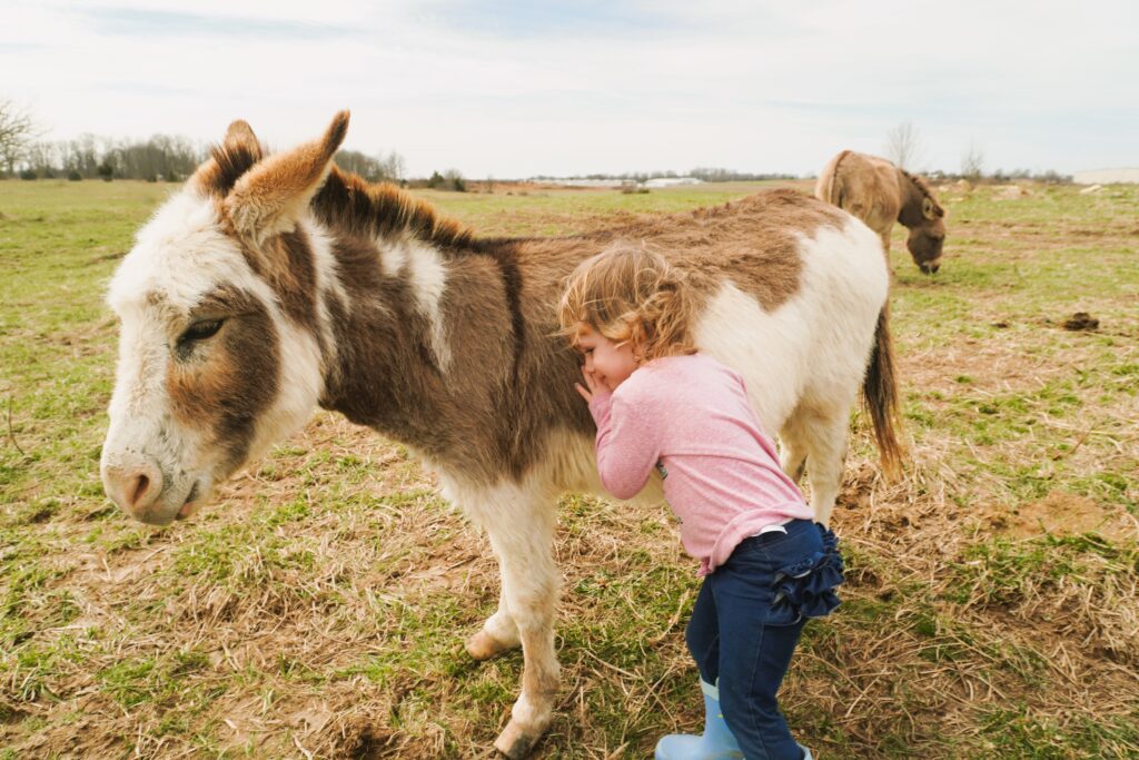 little girl hugging a happy donkey