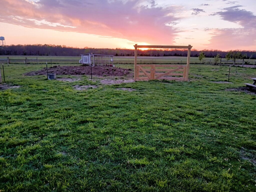 Sunset over a backyard garden setting with a garden gate and chicken coop