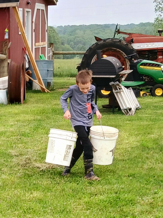 Boy carrying two feed buckets