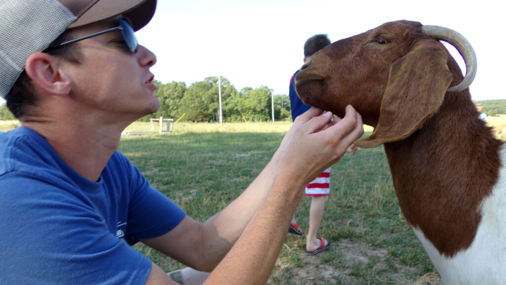 Man and goat face to face