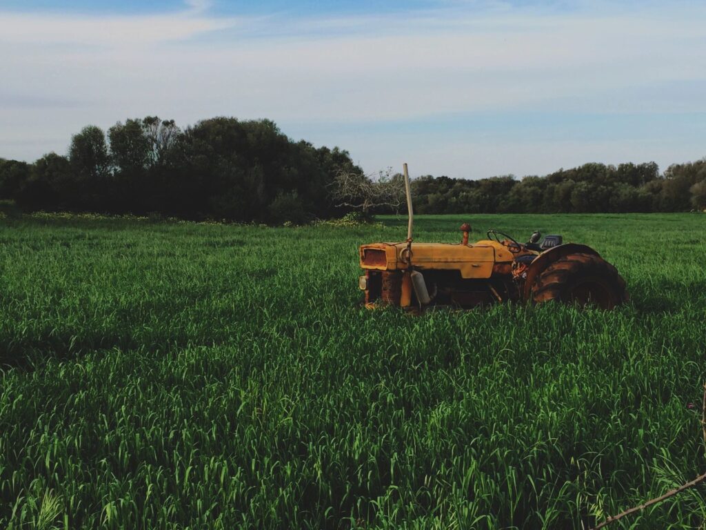 Tractor in a field of green grass