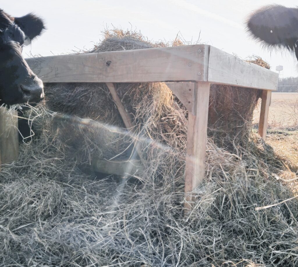 Side view of a DIY round bale feeder in a field