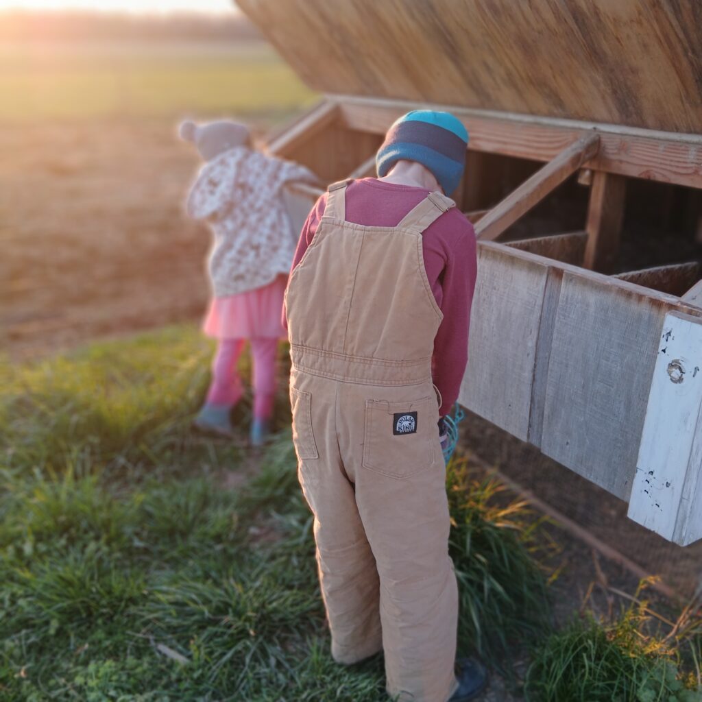 Two kids at a chicken coop