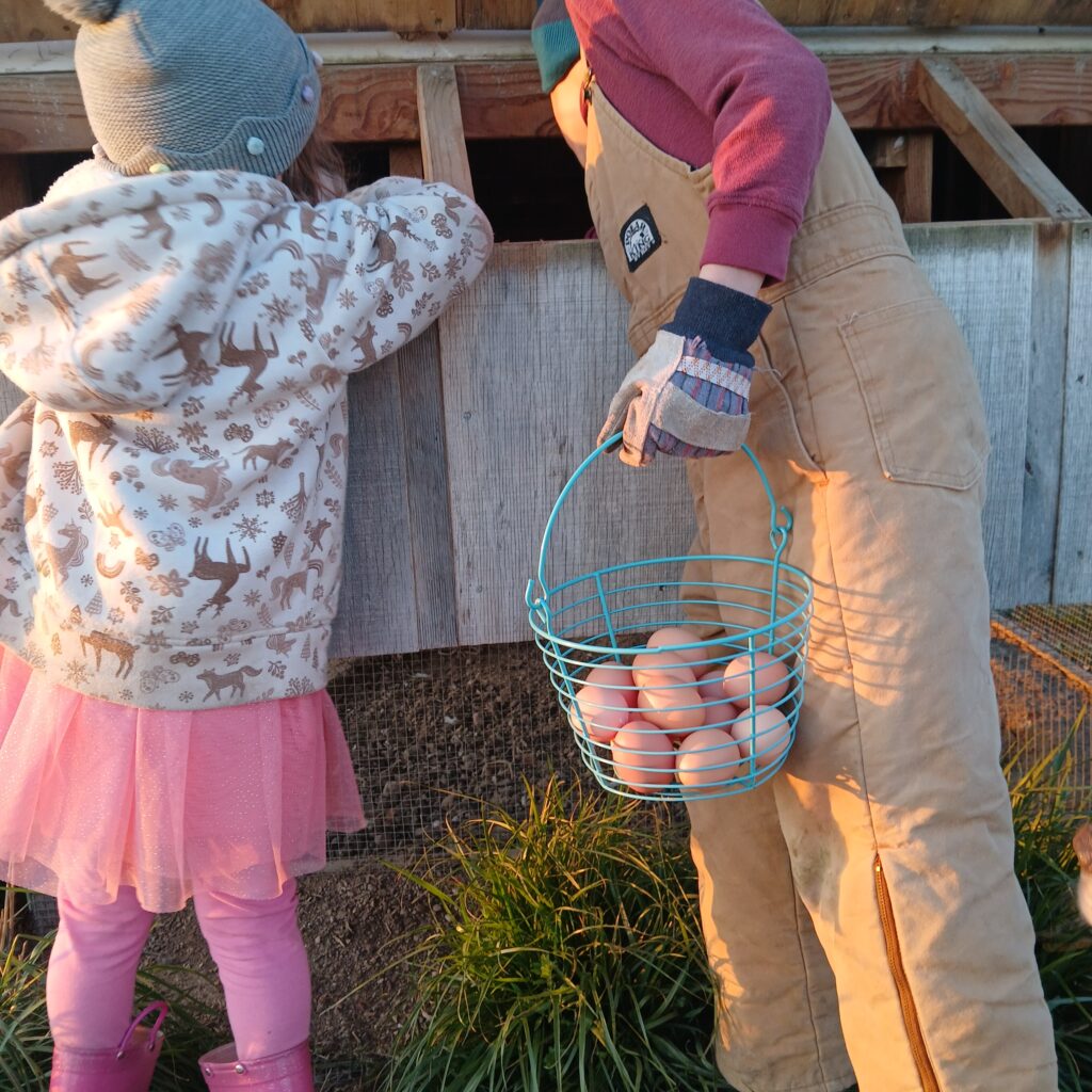 Kids collecting eggs from a chicken coop
