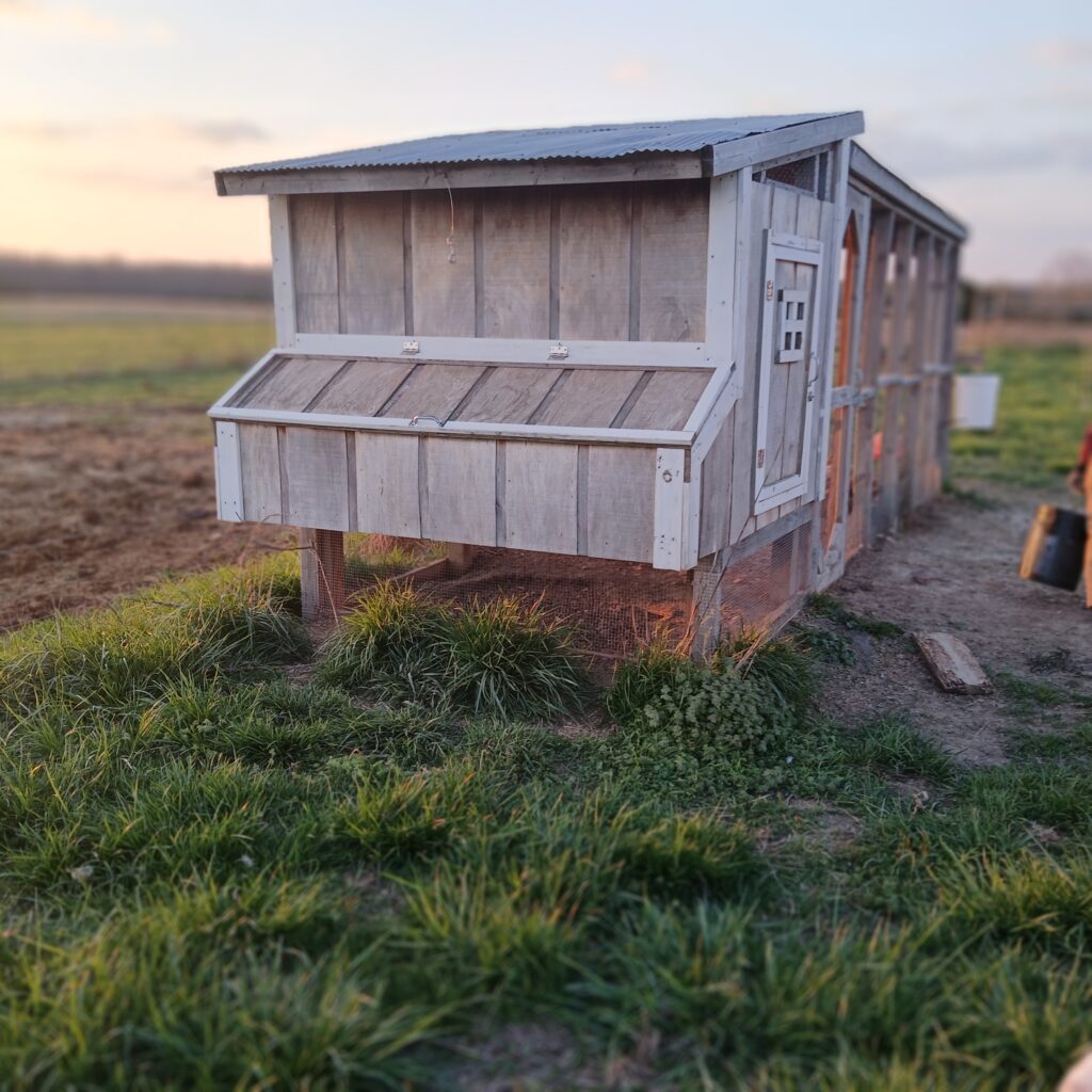 Chicken coop in a field