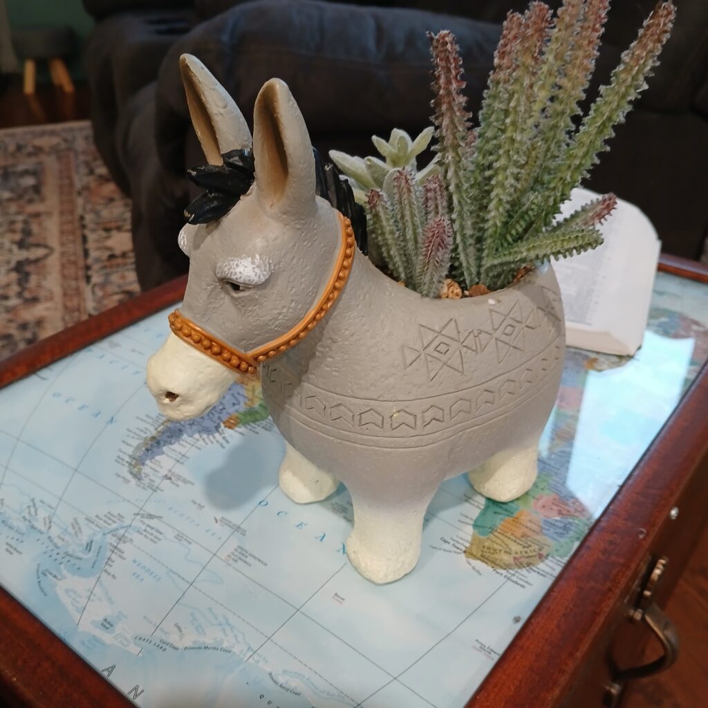 Donkey cactus planter on a table