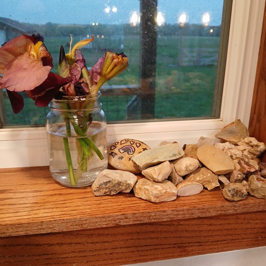 Flowers in a vase and rocks on a windowsill