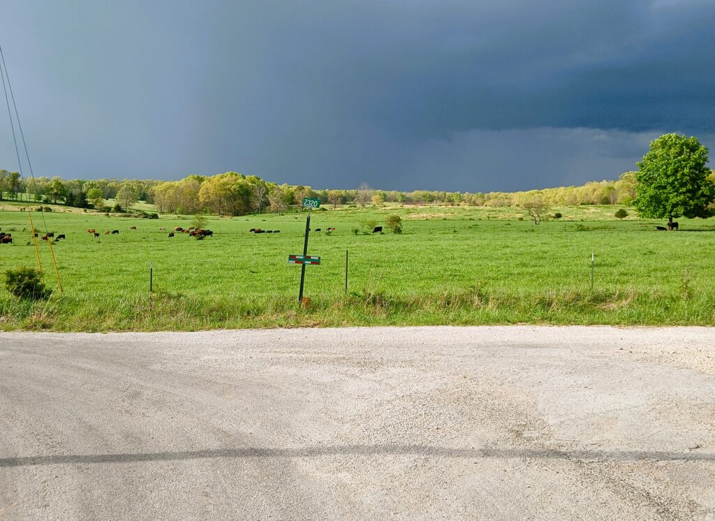Dark blue sky with green pastures at a fork in the road