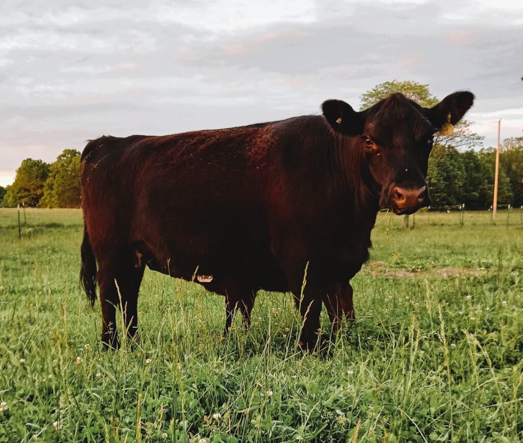 Small-Scale Farming: A Profitable, Sustainable Farming Model