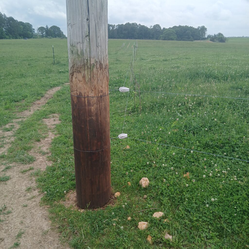 Wooden Post