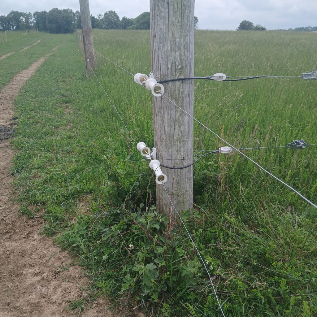 Cross fence