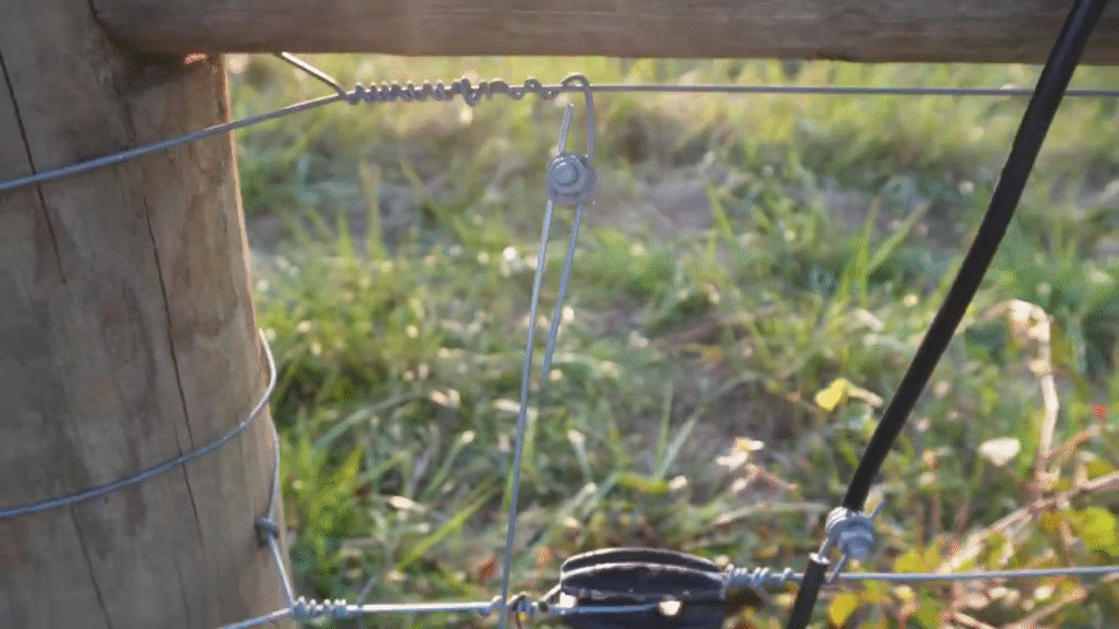 Electric fence